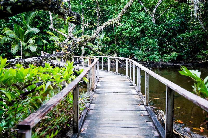 Qamea Resort & Spa Dreketi ภายนอก รูปภาพ